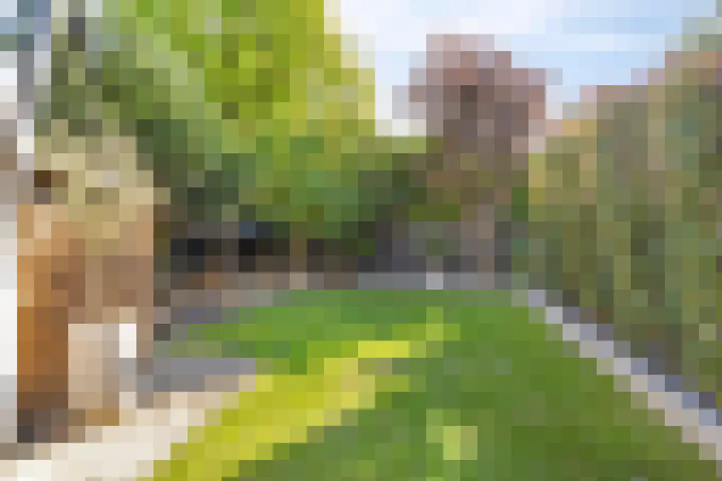 Frisselsteinstraat 16 Veghel thumbnail 39
