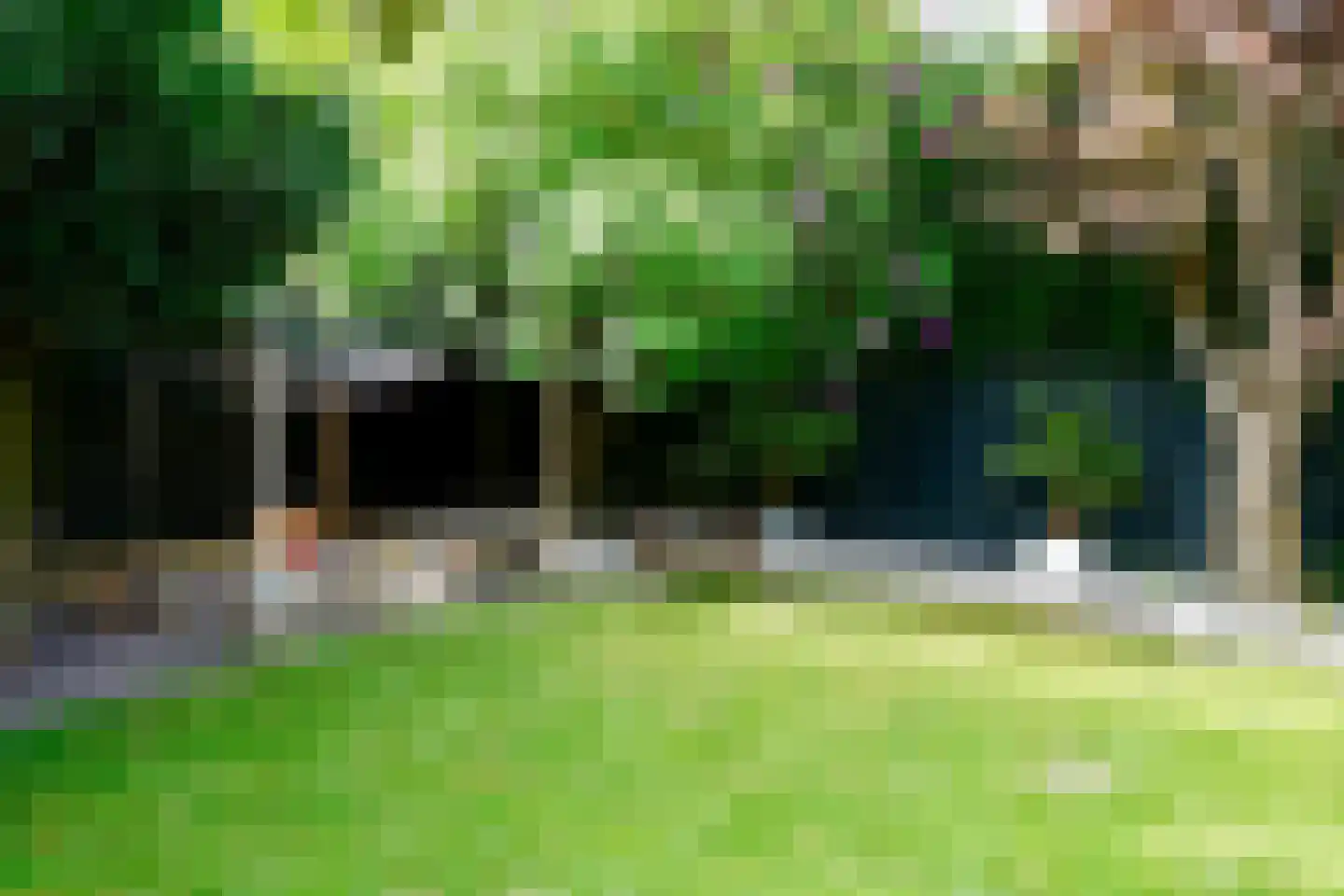 Frisselsteinstraat 16 Veghel thumbnail 40