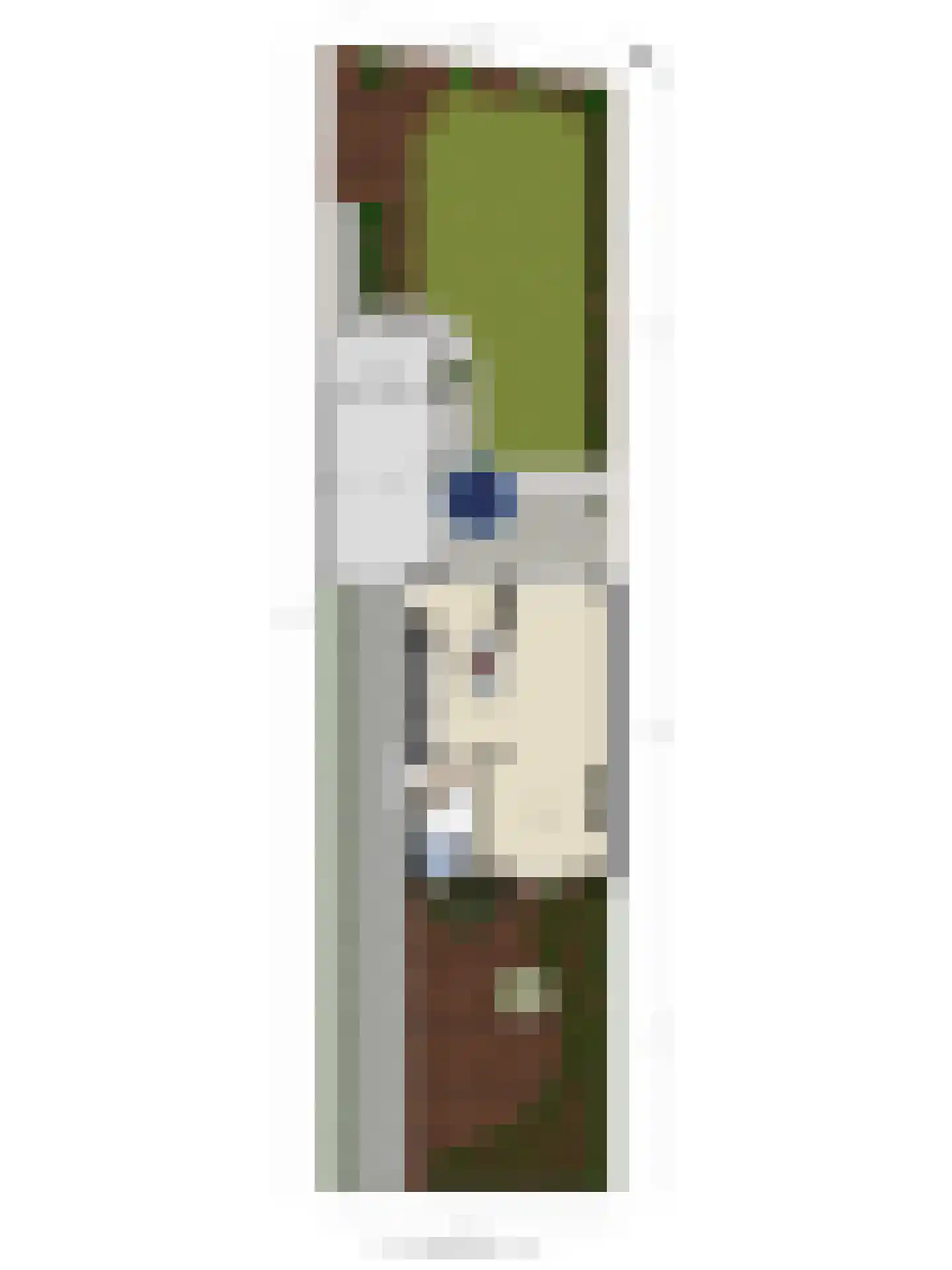 Frisselsteinstraat 16 Veghel thumbnail 47