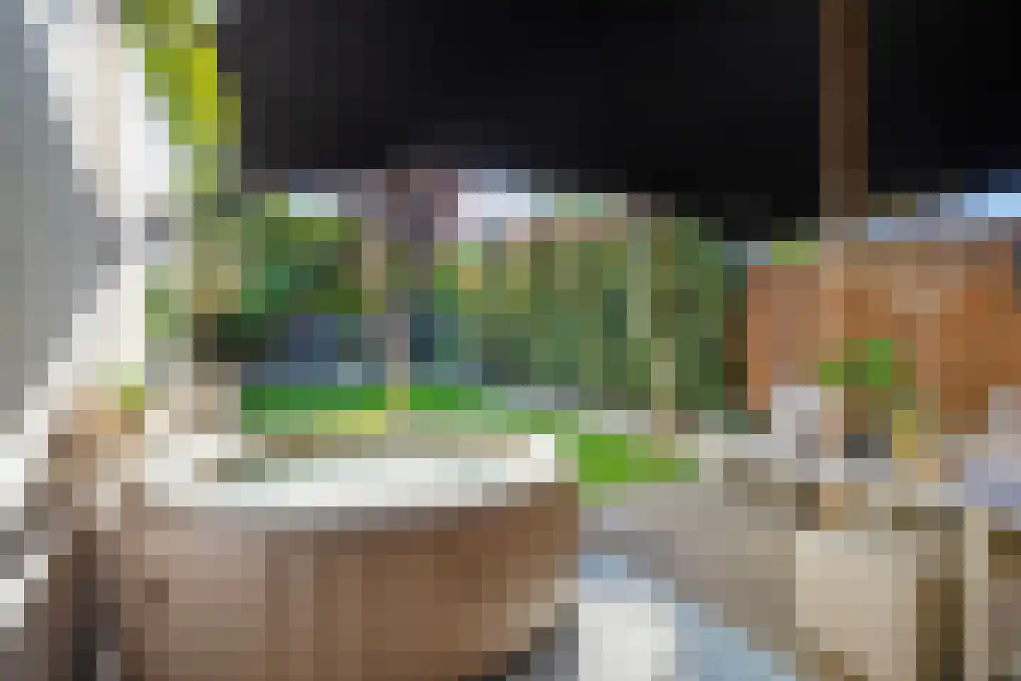 Frisselsteinstraat 16 Veghel thumbnail 5