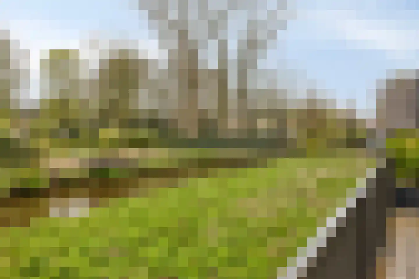 Frisselsteinstraat 4 21 Veghel thumbnail 25