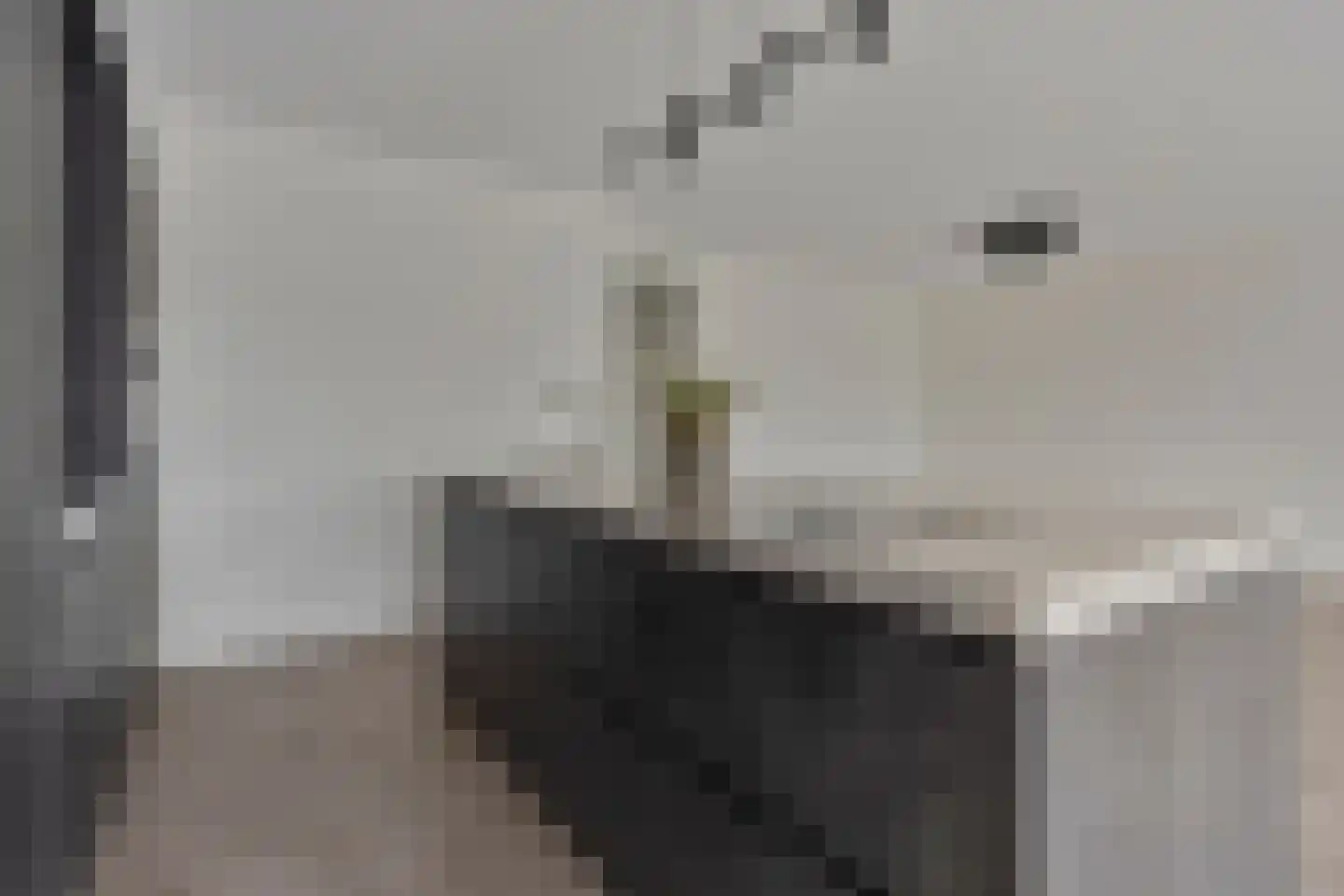 Frisselsteinstraat 4 21 Veghel thumbnail 9