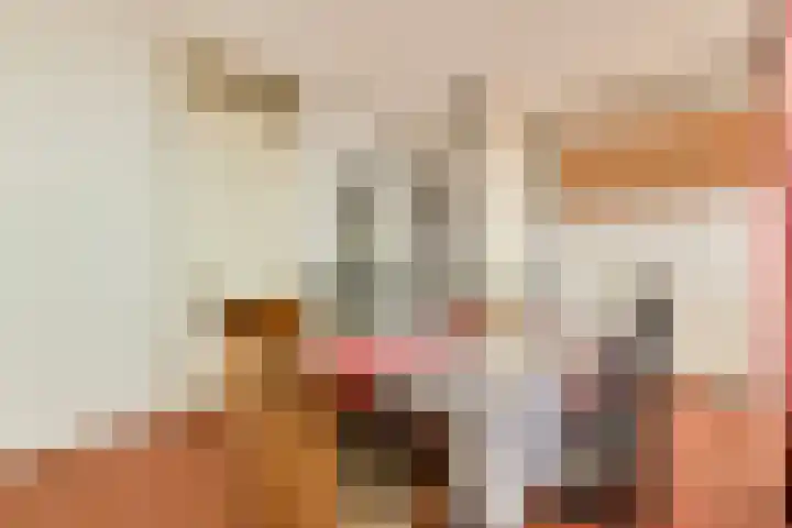 Frissenstein 801 Amsterdam thumbnail 11