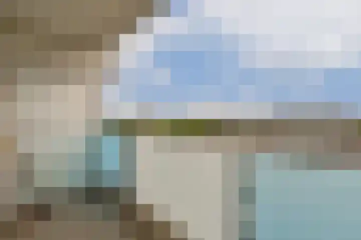 Frissenstein 801 Amsterdam thumbnail 13