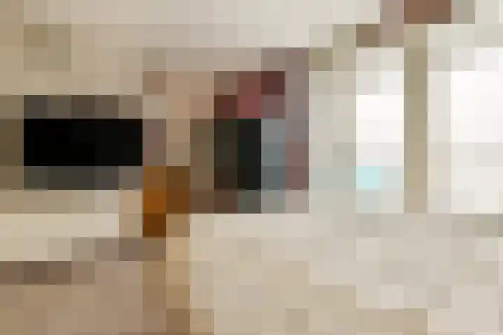 Frissenstein 801 Amsterdam thumbnail 16