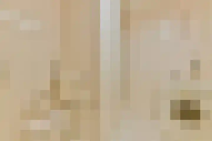 Frissenstein 801 Amsterdam thumbnail 19