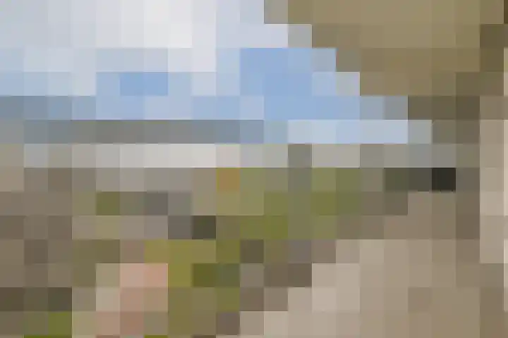 Frissenstein 801 Amsterdam thumbnail 23