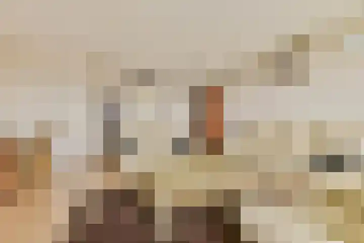 Frissenstein 801 Amsterdam thumbnail 5