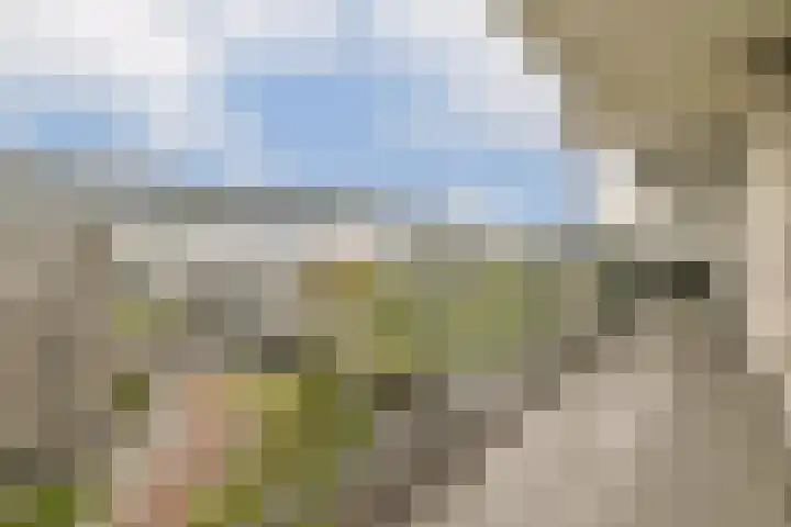 Frissenstein 801 Amsterdam thumbnail 7