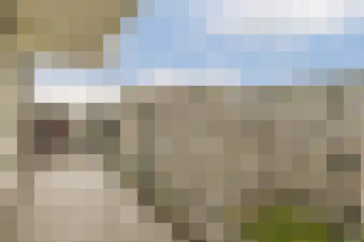 Frissenstein 801 Amsterdam thumbnail 8