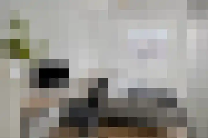 Frits Bakershof 11 Nuenen thumbnail 14
