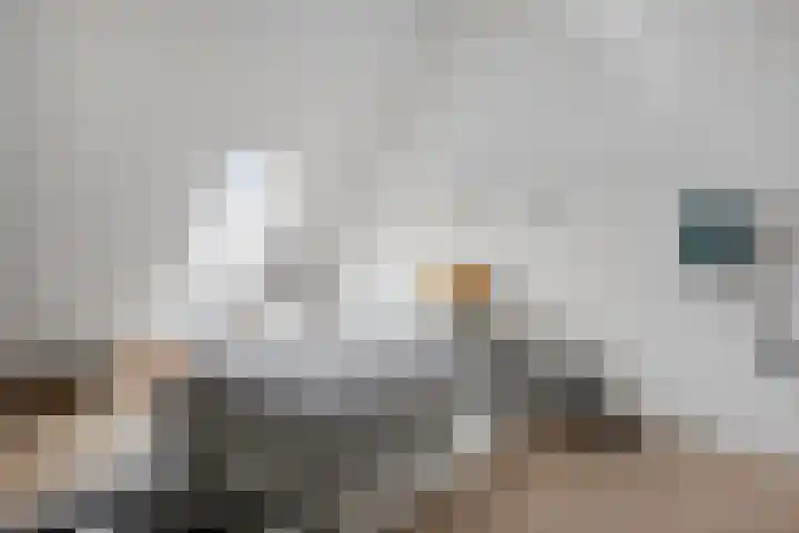 Frits Bakershof 11 Nuenen thumbnail 19