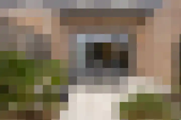 Frits Bakershof 11 Nuenen thumbnail 22