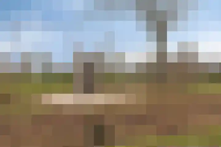 Frits Bakershof 11 Nuenen thumbnail 28