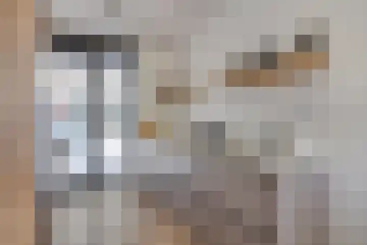 Frits Bakershof 11 Nuenen thumbnail 8