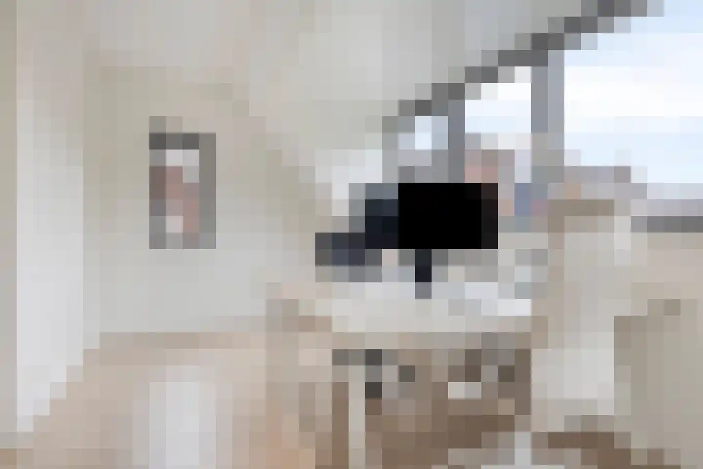 Frits Bakershof 12 Nuenen thumbnail 19