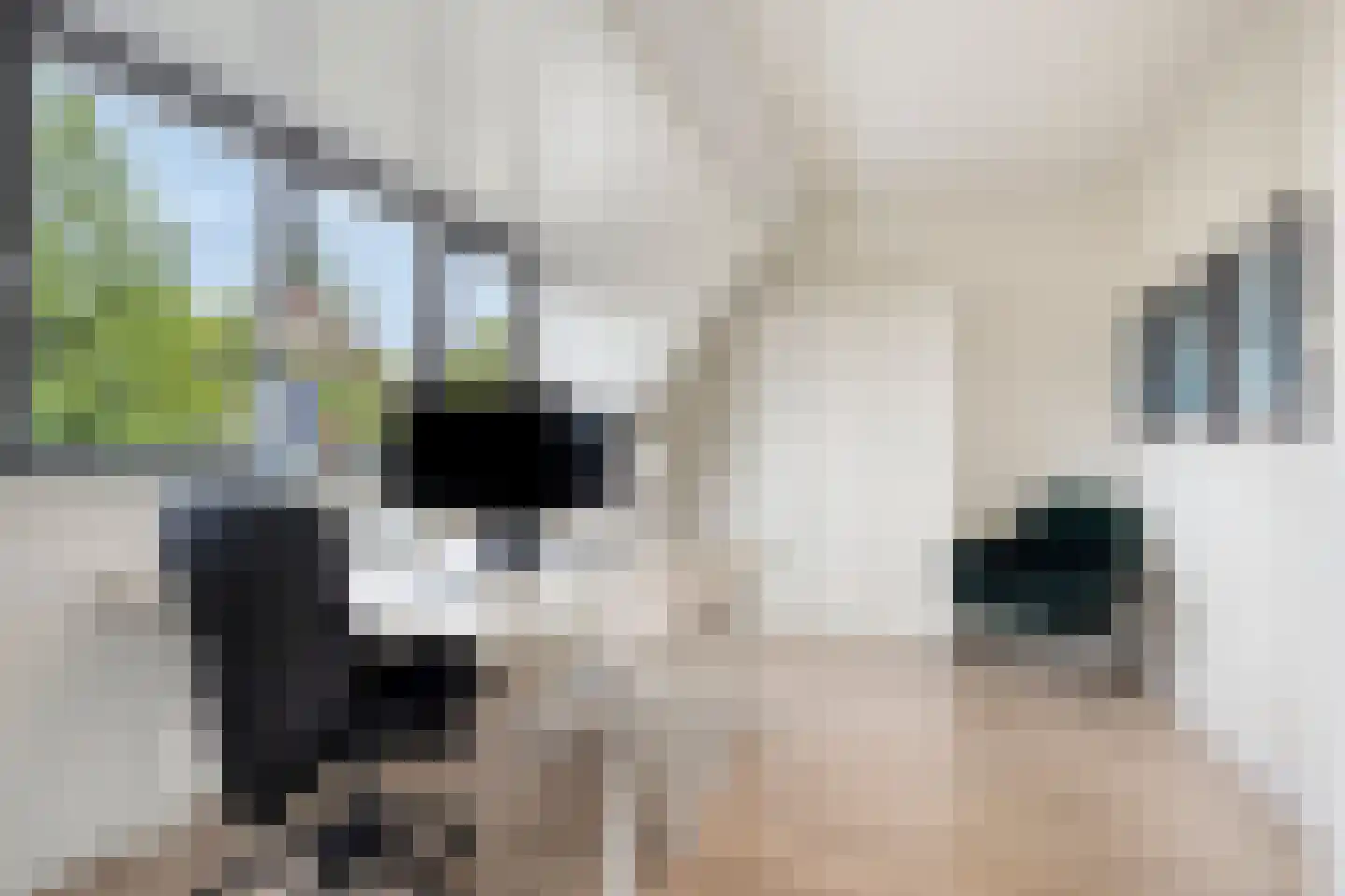 Frits Bakershof 12 Nuenen thumbnail 20