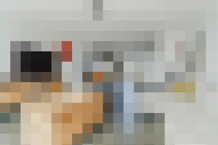Frits Bakershof 15 Nuenen thumbnail 12
