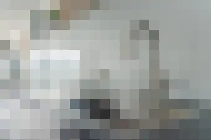 Frits Bakershof 15 Nuenen thumbnail 15