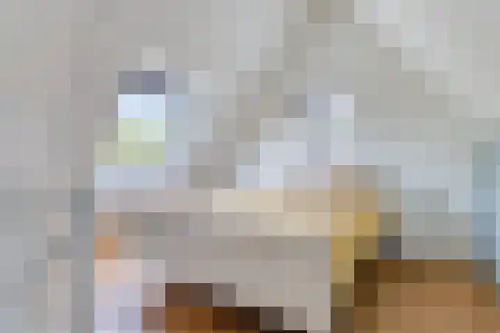 Frits Bakershof 2 Nuenen thumbnail 25