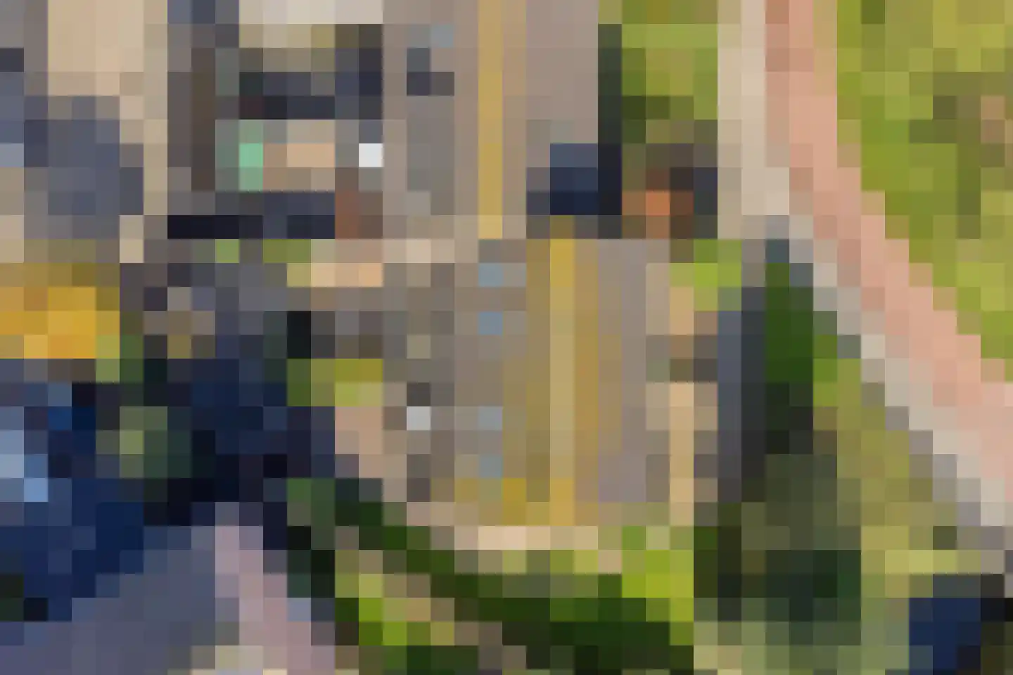 Frits Bongenaarstraat 17 Schagen thumbnail 29