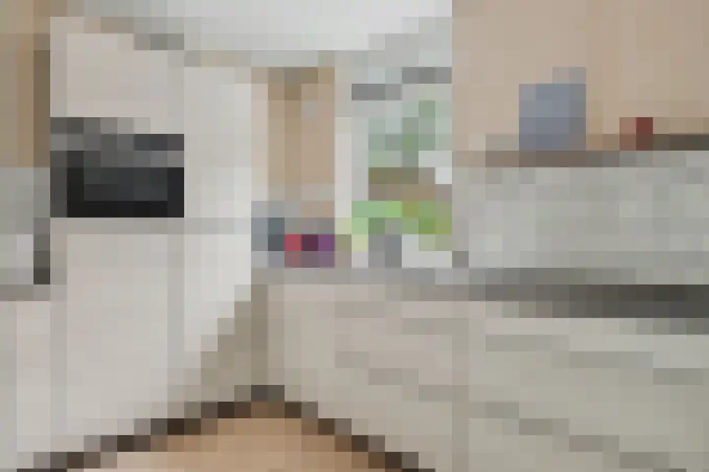 Frits Bongenaarstraat 39 Schagen thumbnail 4