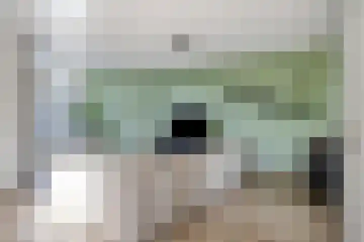 Frits de Bruijnstraat 11 Asten thumbnail 10