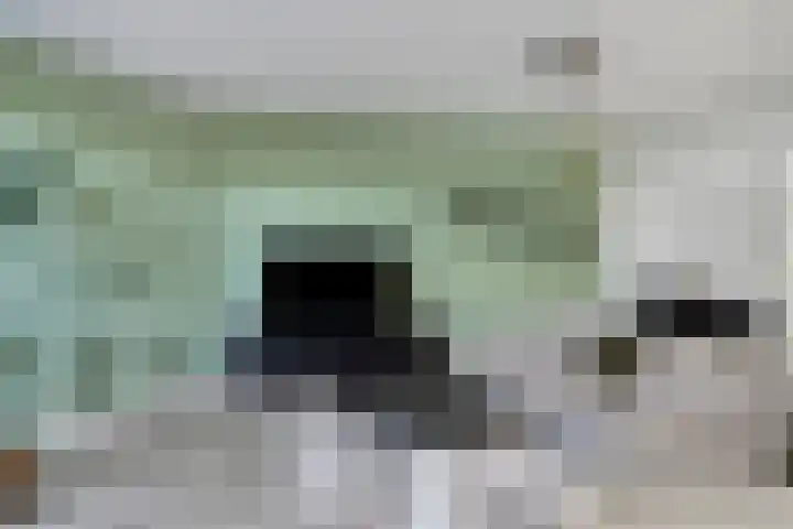 Frits de Bruijnstraat 11 Asten thumbnail 11