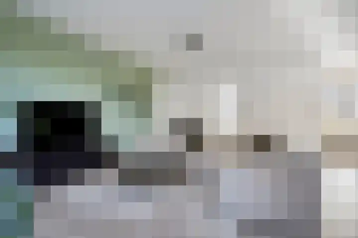 Frits de Bruijnstraat 11 Asten thumbnail 12