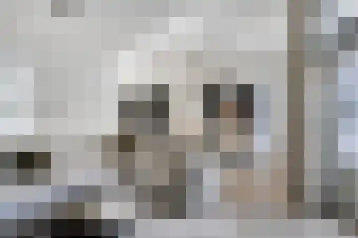 Frits de Bruijnstraat 11 Asten thumbnail 13