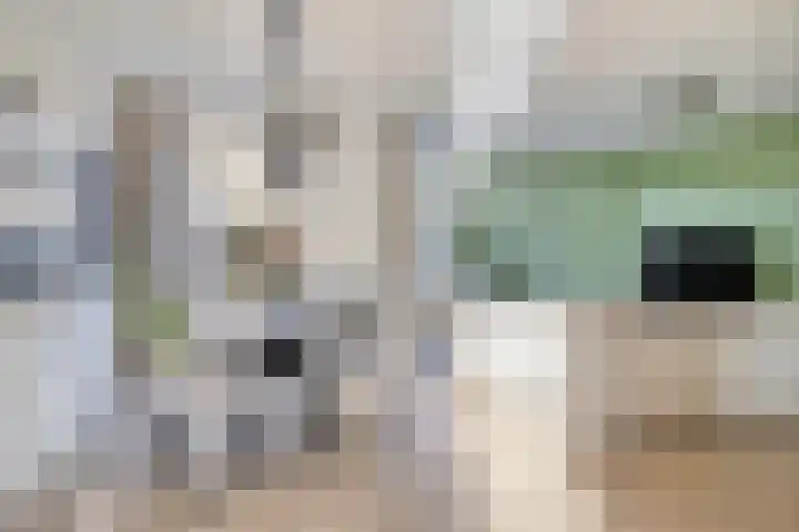 Frits de Bruijnstraat 11 Asten thumbnail 19