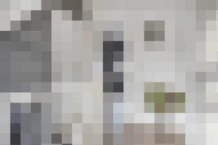 Frits de Bruijnstraat 11 Asten thumbnail 25