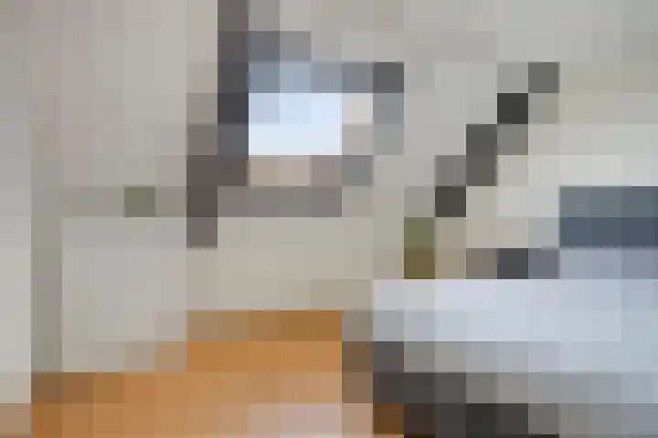 Frits de Bruijnstraat 11 Asten thumbnail 34
