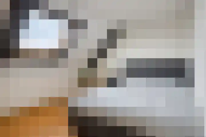 Frits de Bruijnstraat 11 Asten thumbnail 35