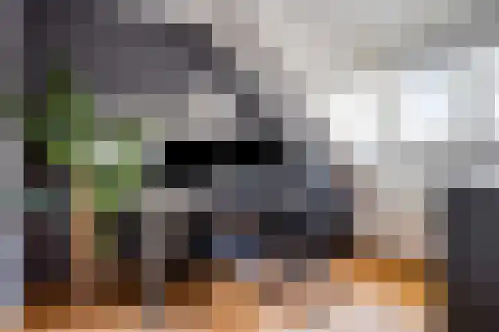 Frits de Bruijnstraat 11 Asten thumbnail 37