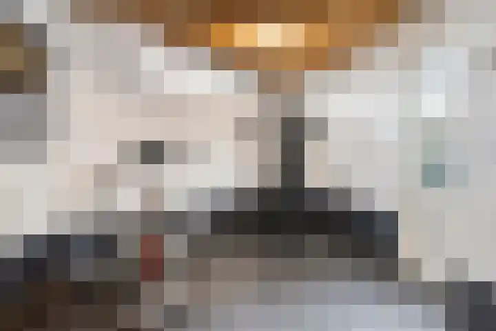 Frits de Bruijnstraat 11 Asten thumbnail 42