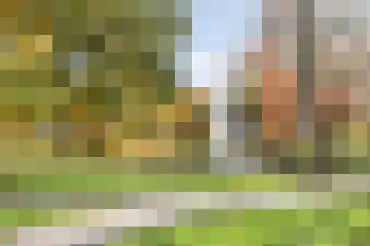 Frits de Bruijnstraat 11 Asten thumbnail 54