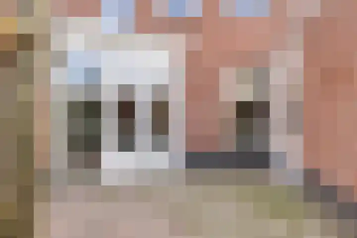 Frits de Bruijnstraat 11 Asten thumbnail 6