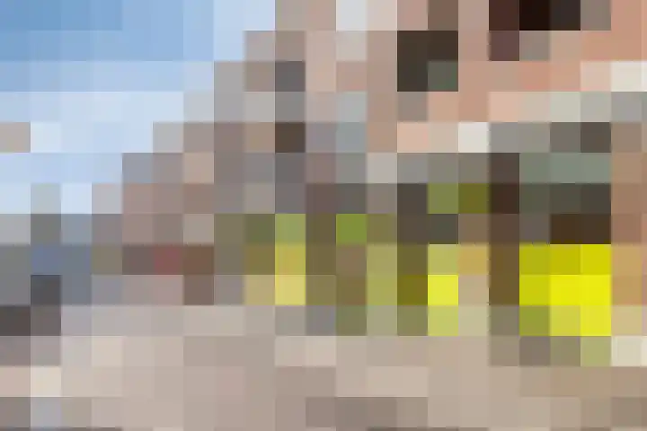 Frits de Bruijnstraat 11 Asten thumbnail 60