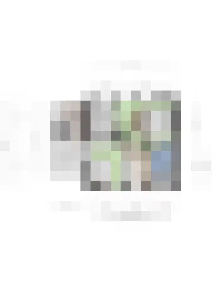 Frits de Bruijnstraat 11 Asten thumbnail 64