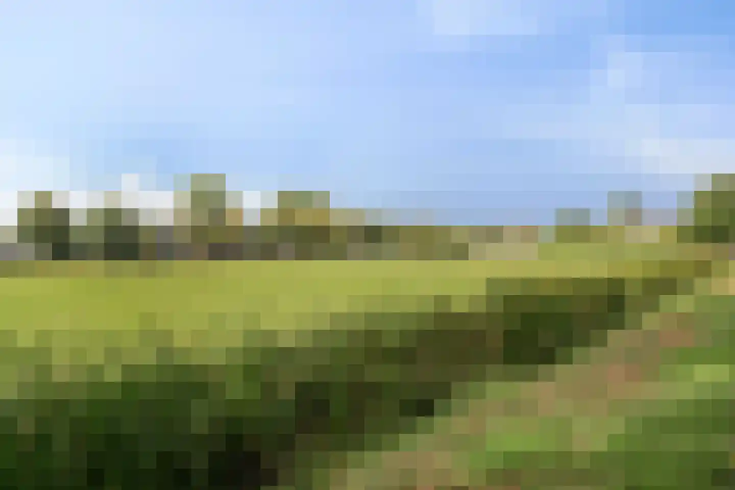 Frits de Zwerver 32 Bunschoten-Spakenburg thumbnail 27