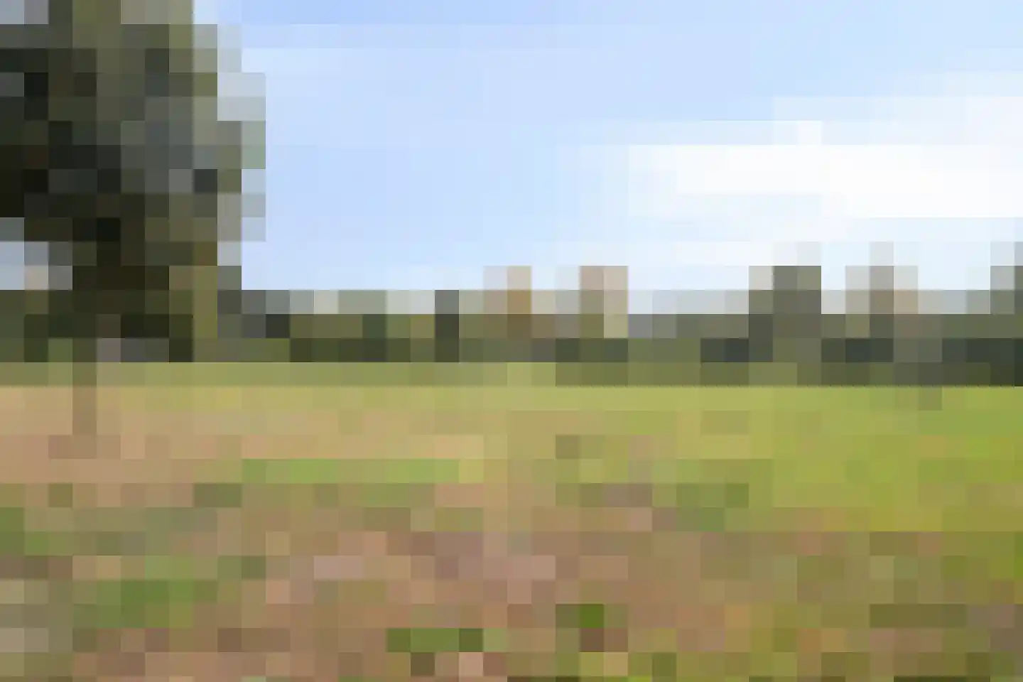 Frits de Zwerver 32 Bunschoten-Spakenburg thumbnail 28