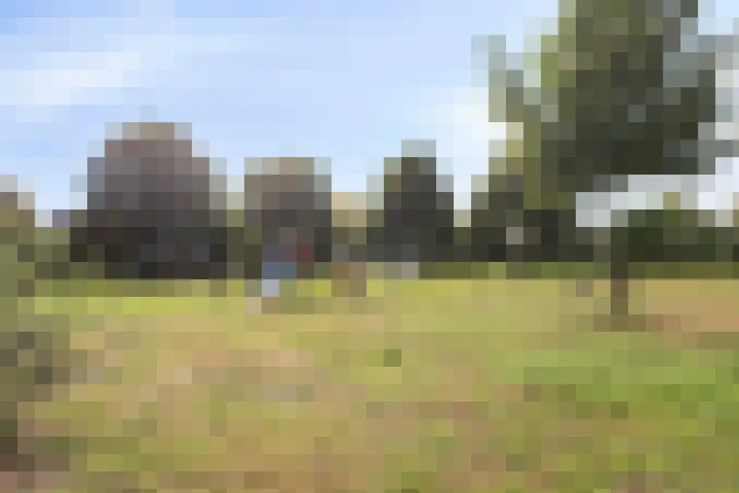 Frits de Zwerver 32 Bunschoten-Spakenburg thumbnail 29