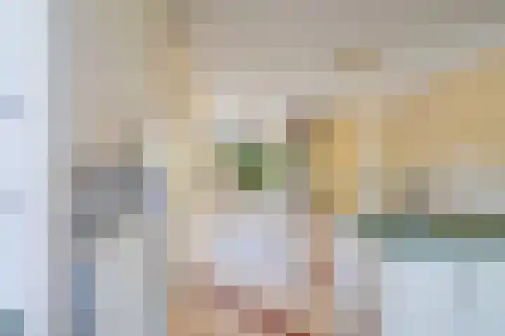 Frits Diepenlaan 2 Den Haag thumbnail 11