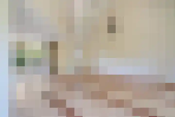 Frits Diepenlaan 2 Den Haag thumbnail 12