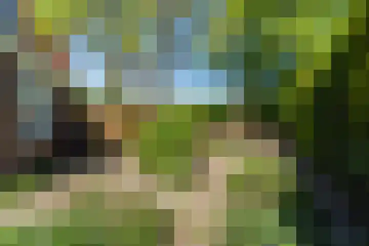 Frits Diepenlaan 2 Den Haag thumbnail 37