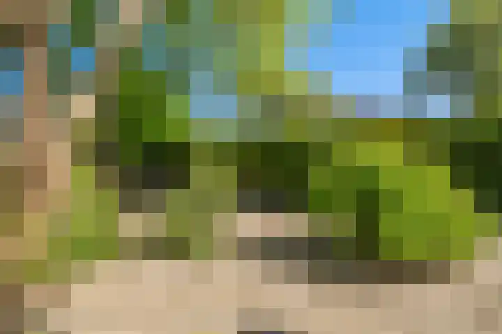 Frits Diepenlaan 2 Den Haag thumbnail 38