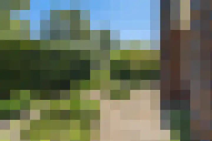 Frits Diepenlaan 2 Den Haag thumbnail 39
