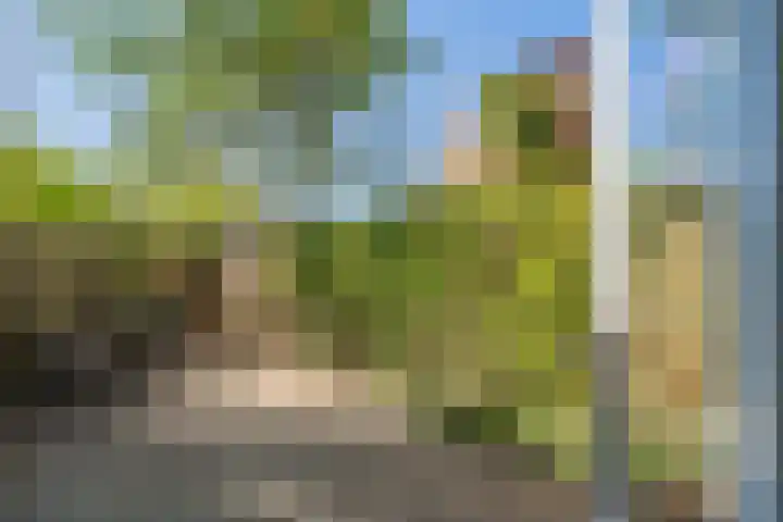 Frits Diepenlaan 2 Den Haag thumbnail 4