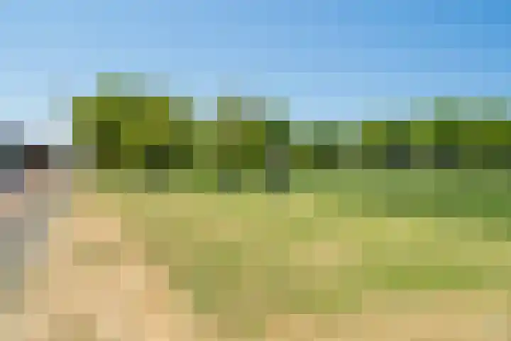 Frits Diepenlaan 2 Den Haag thumbnail 40